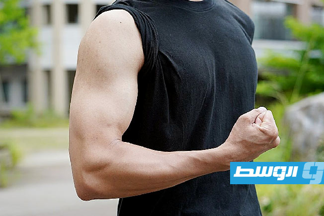 اكتشاف جديد قد يحافظ على قوة العضلات مع التقدم في العمر