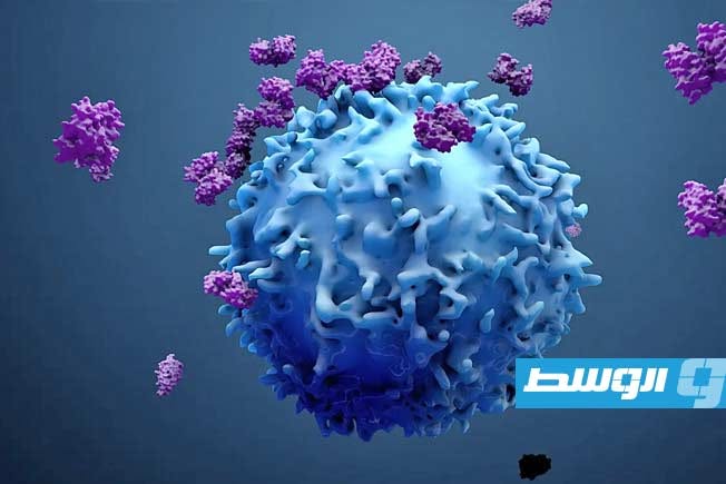 السرطان يتلاعب ببروتين «MUC1» ويبني درعاً يخدع رادار المناعة