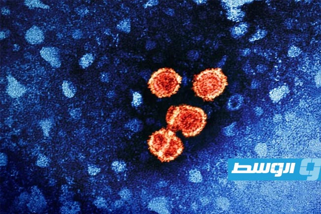 «بصمة الموت».. دراسة تكشف آلية جديدة لانتشار الفيروسات
