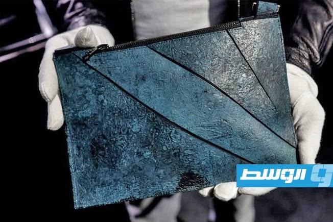 أول حقيبة جلدية مصنوعة من خلايا ديناصور تُعرض في مزاد بباريس