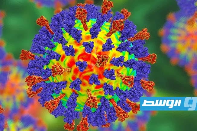 تراجع معدلات التلقيح يهدم إنجاز عقود يفاقم الإصبات بالحصبة في أميركا