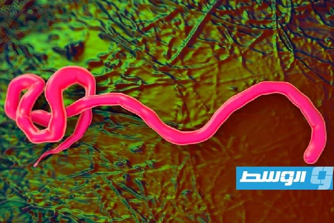 تمويل دولي وثلاثة لقاحات واعدة تحت المجهر لمحاصرة «إيبولا»